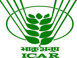ICAR