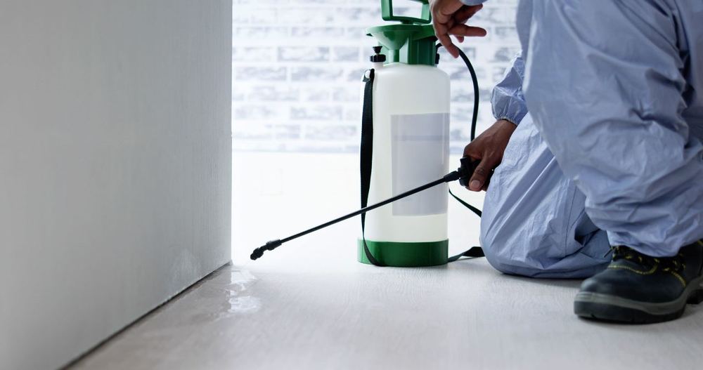 Pest Control Services Mumbai